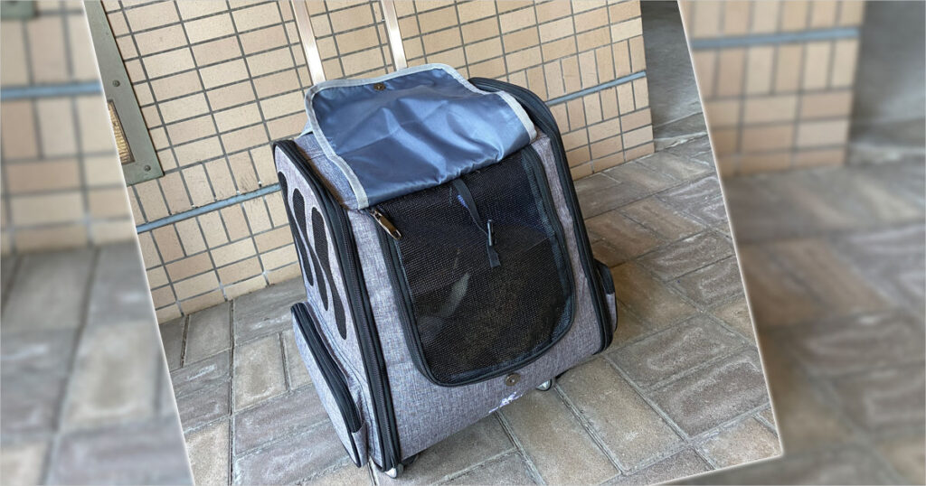 アイキャッチ画像
