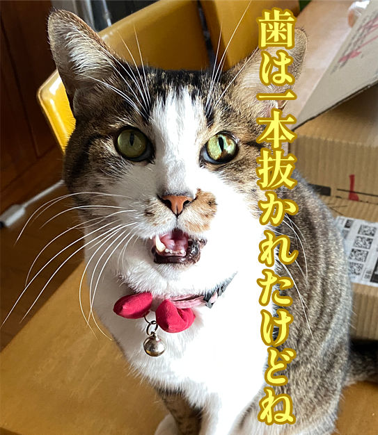 イメージ画像